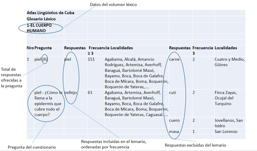 Datos geolectales que ofrece el Glosario léxico del ALCu.